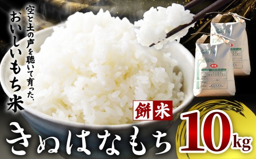 きぬはなもち(もち米)  10kg | お米 米 もち米 栃木県 矢板市