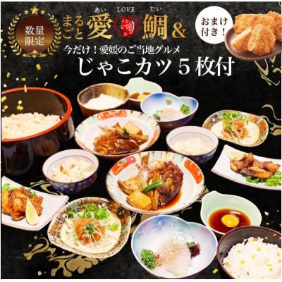 ふるさと納税 松山市 愛媛県産　ご当地『鯛グルメ』まるごと愛LOVE鯛2〜3人前&amp;じゃこカツ5枚付