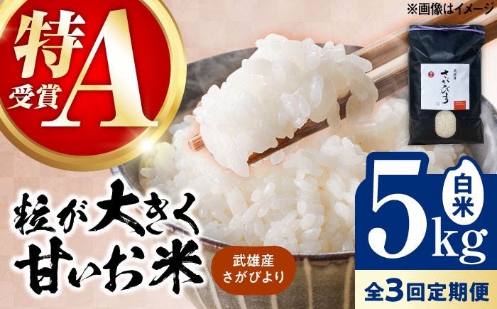 
            【3回定期便】武雄市産 さがびより 白米 5kg /株式会社 y's company（utsu和ya） [UDX025]
          