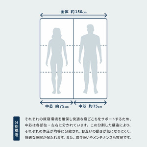 高反発寝具ブレスエアー®製敷布団「プレミア」ワイドダブルサイズ BD03 近江化成 東近江 