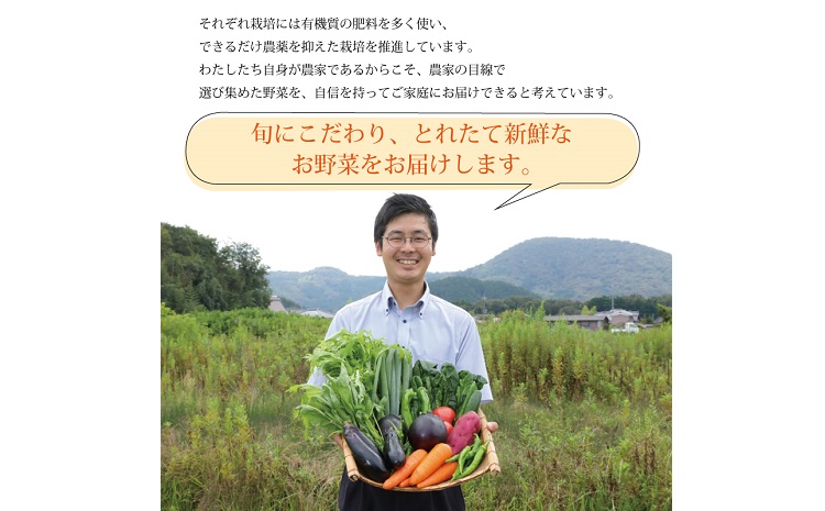 旬の京野菜　レギュラーコース 《 野菜詰め合わせ 野菜セット 京野菜 旬の野菜 新鮮野菜 有機野菜 減農薬 》 ※沖縄・その他離島は配送不可 [011KH001]
