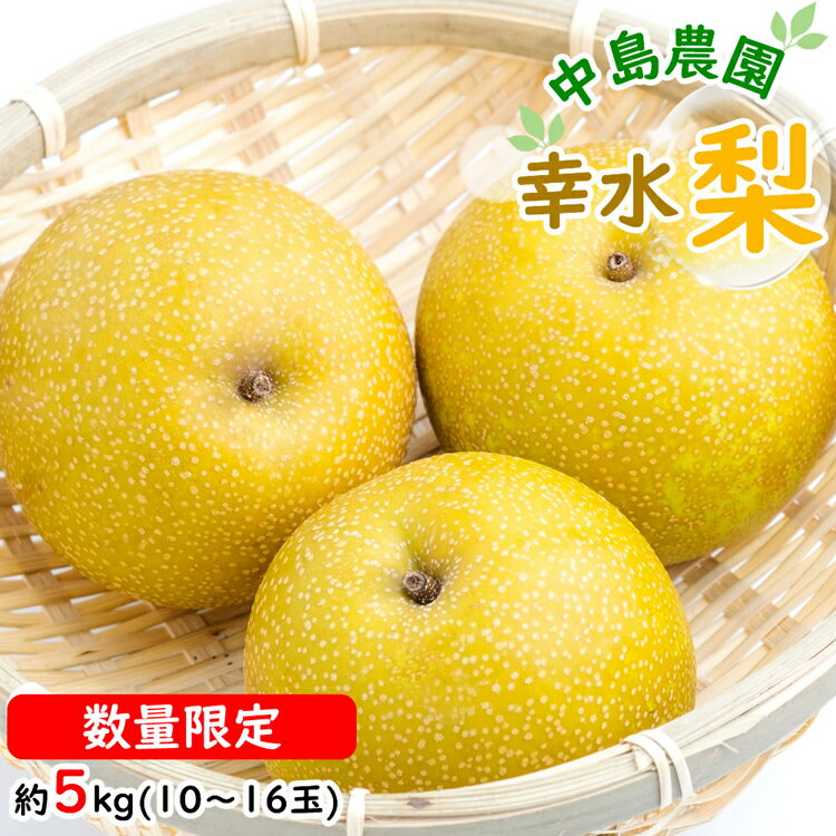 【ふるさと納税】 BH005 【令和8年度出荷分】【数量限定】 幸水梨 約5kg（10玉～16玉） [新鮮 農家直送 夏の味覚 贅沢宝庫 フルーツ]