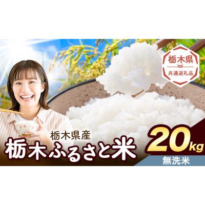 ふるさと納税 野木町 栃木ふるさと米 無洗米 20kg 栃木県 野木町《7-14日以内》【栃木県共通返礼品】