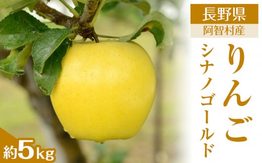 【先行予約】＜令和8年11月上旬～順次発送＞南信州阿智村　りんご（シナノゴールド）約5kg｜  果物 フルーツ 林檎 リンゴ 信州 長野