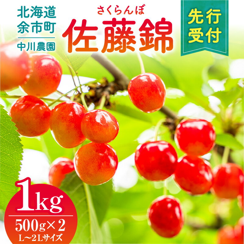 【ふるさと納税】2025年発送【先行予約】令和7年産 さくらんぼ 佐藤錦【L～2Lサイズ】500g×2 【合同会社中川農園】スイーツ サクランボ ゼリー ジュース コンポート シャーベット ロールケーキ パウンドケーキ タルト フルーツ さくらんぼ餅 送料無料 北海道 余市町