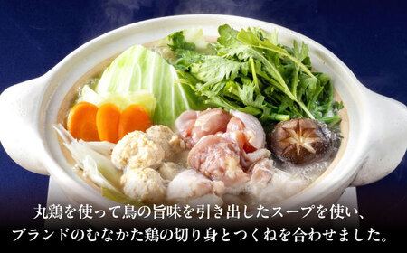 水炊き むなかた鶏使用 水炊き2人前 [ABEQ027] 水炊き