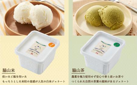 脇山ジェラート２種類セット