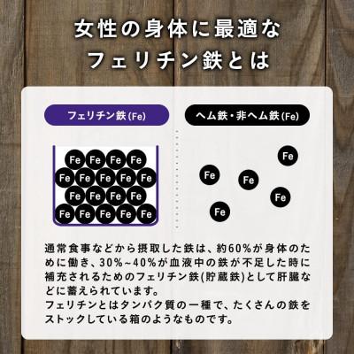 ふるさと納税 東久留米市 GoCLN 鉄分サプリ フェリチン鉄 10mg 30カプセル(30日分) |  | 02