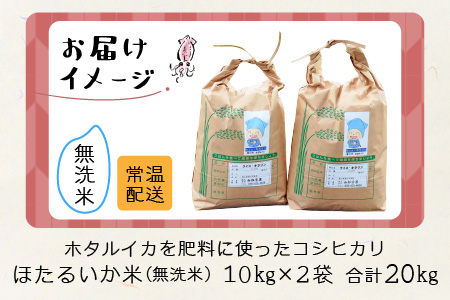 【訳あり】ほたるいか米（無洗米２０kg）【通年発送】