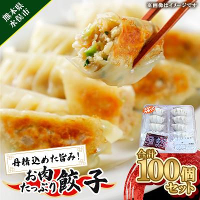 ふるさと納税 水俣市 丹精込めた旨み!お肉たっぷり餃子 100個セット