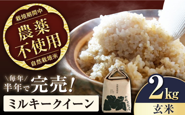 
            【先行予約/令和7年産新米】自然栽培 ミルキークイーン 2kg 玄米 長浜市/株式会社お米の家倉 [AQCP001] 米 お米 コメ 玄米  2kg   滋賀県産 長浜市産 こめ お米 新米 食品 ふるさと納税 国産 炊きたて 米ギフト もちもち ブランド米  食卓 美味しい 産地直送 節約 人気
          