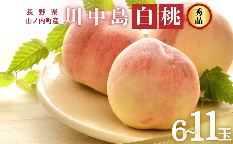 桃 先行予約 川中島白桃 秀品 約 3kg (6～11玉) フルーツ 果物 夏 旬 2026年 8月発送
