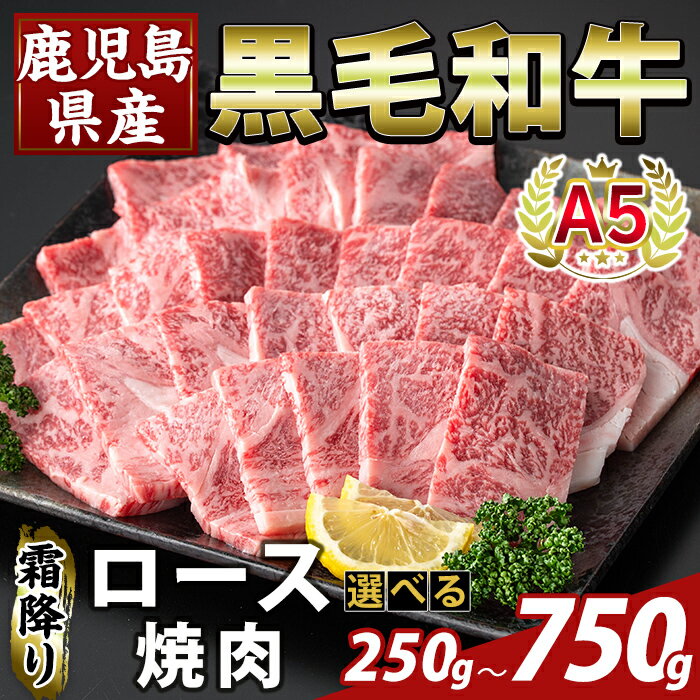 【ふるさと納税】＜選べる容量＞鹿児島県産A5等級黒毛和牛霜降り上ロース焼肉(計250g〜750g) 牛肉 国産 鹿児島県産 ロース 焼肉 肉 精肉 【ふるさと産直バザール】