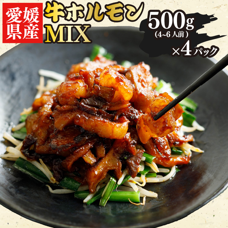 愛媛県産 牛 ホルモン MIX 500g × 4 パック ミックス ピリ辛 希少 小分け 愛媛県 松山市