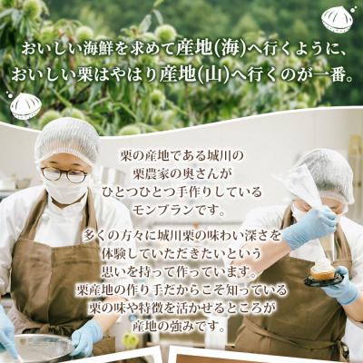 ふるさと納税 西予市 <抹茶と和栗のモンブラン(2個入)>　スイーツ　ケーキ　和栗　マロン　国産　西予　城川 |  | 02