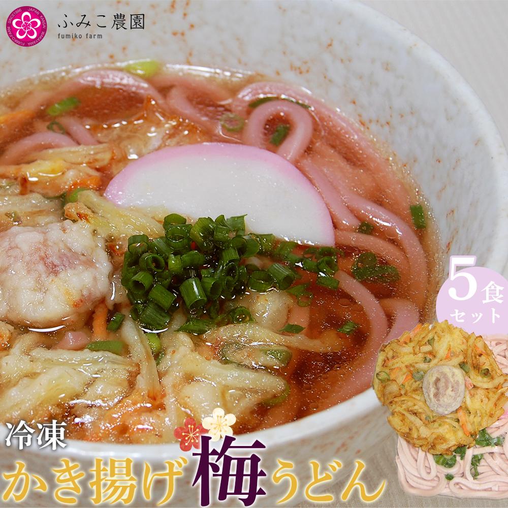 【ふるさと納税】冷凍　かき揚げ梅うどん5食