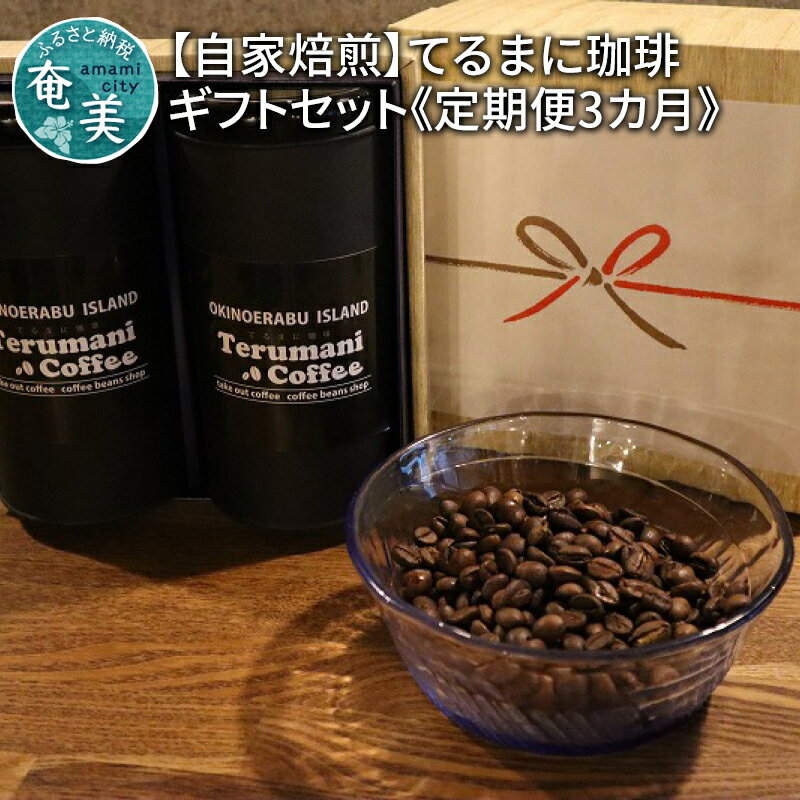 【ふるさと納税】 コーヒー 定期便 3ヶ月 自家焙煎 スペシャルブレンド 豆 粉 選べる 80g 2セット てるまに珈琲 中深煎り ギフトセット 国産豆 海外産豆