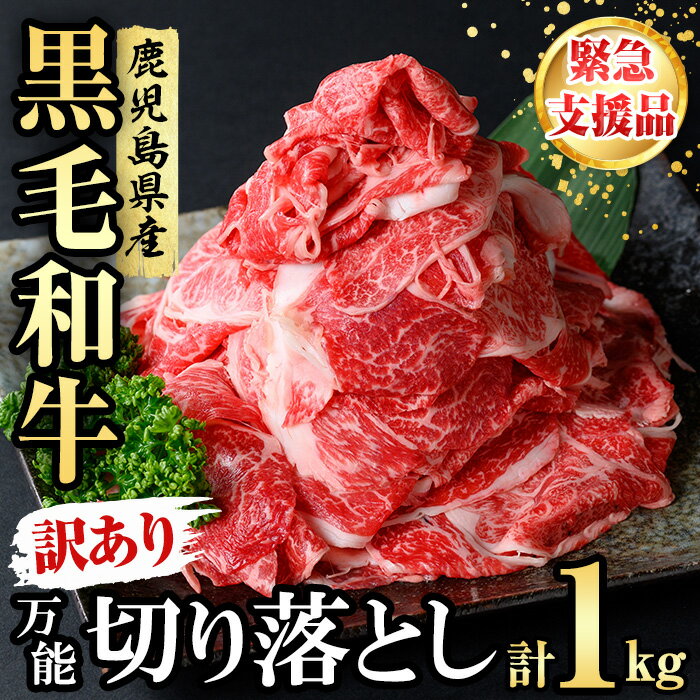 【ふるさと納税】【緊急支援品】【訳あり】黒毛和牛万能切り落とし肉 計1kg（500g×2P）鹿児島県産 黒毛和牛 和牛 切り落とし 肉 牛肉 国産 九州産 赤身 薄切りすき焼き しゃぶしゃぶ カレー 小分け 煮込み 訳あり 訳アリ 切落し【nixy CHUZAN】a1-143