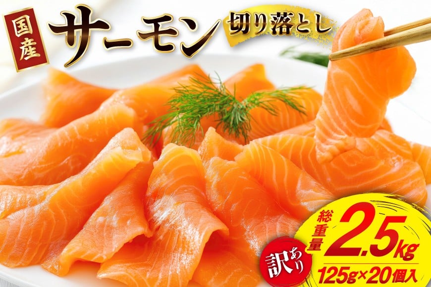 
            訳あり 国産 サーモン 切り落し おさしみ用 125g×20p 計2.5kg 個包装 [足利本店 宮城県 気仙沼市 20565699] 訳アリ 無添加 真空パック 鮭 銀鮭 冷凍 生食用 刺身 鮭 お刺し身 刺し身 国産銀鮭 海鮮 海鮮丼 魚介 魚 さけ 小分け 冷凍 鮮魚 訳アリ わけあり
          