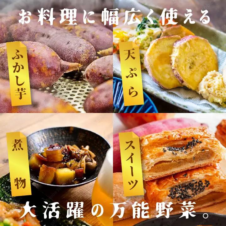 さつまいも 紅はるか 5kg ｜さつまいも【株式会社橋本】