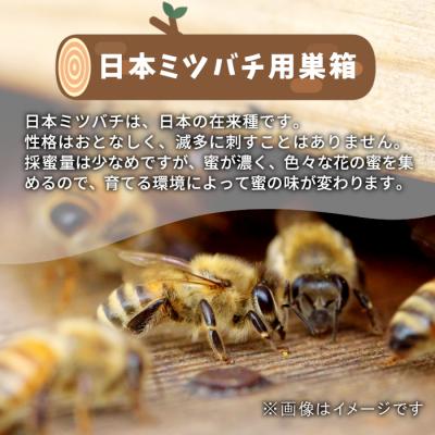 ふるさと納税 東白川村 東白川村 日本ミツバチ用 飼育箱 |  | 01