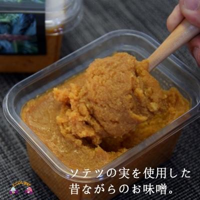 ふるさと納税 徳之島町 〜徳之島産ソテツの実を使用〜昔ながらのなり味噌(無添加) |  | 02