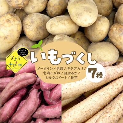 ふるさと納税 芽室町 北海道十勝芽室町　なまら十勝野のいもづくし 7種 計4kg me001-048c
