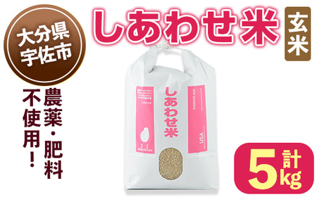 ＜令和6年産・新米＞しあわせ米 玄米(計5kg) お米 5キロ 常温 常温保存 【101000401】【宇佐本百姓】