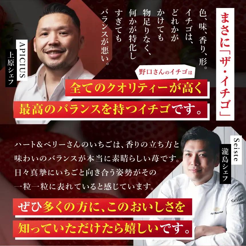 栃木県産 お試しとちあいか（サイズ不揃い） 約250g×2P 栃木県 下野市 送料無料