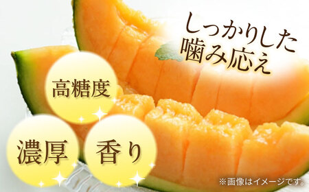 訳あり タカミメロン レッド 2箱 / メロン めろん フルーツ 果物 / 南島原市 / 南島原果物屋[SCV037]