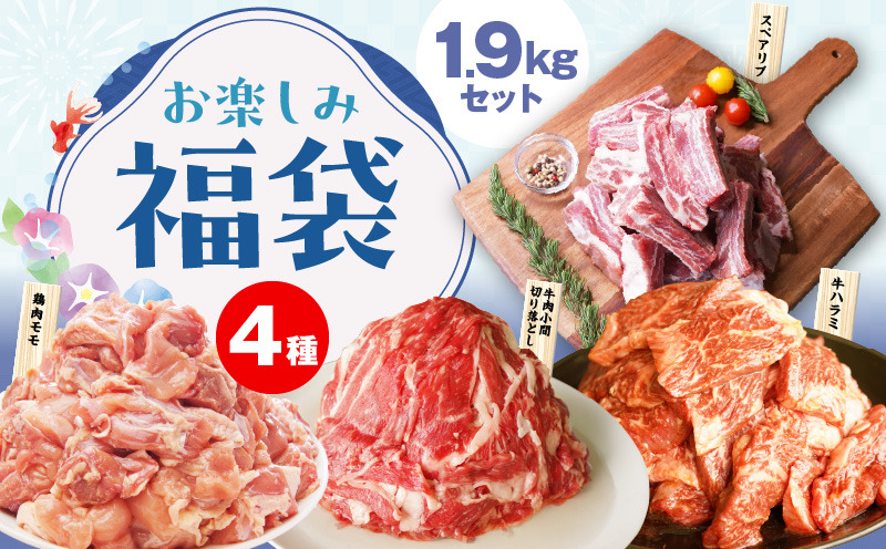 mrz0154 【夏の肉福袋】4種 1.9kg 焼肉セット（牛肉 切り落とし／牛ハラミ／豚肉 スペアリブ／鶏肉）【氷温熟成×極味付け 焼くだけ 食べ比べ ふくぶくろ お楽しみ 簡単調理】