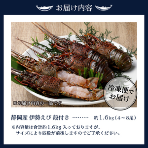 伊勢海老 三昧セットB 刺身用＋焼物用 (a80-031)
