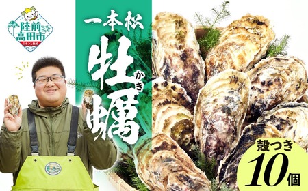 『一本松牡蠣』 生食用 殻付き牡蠣 10個 セット 【 天然 牡蠣 かき 殻付き 生食 大粒 人気 国産 陸前高田 三陸産 広田湾産 気仙町 】 RT2376