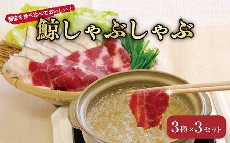 くじら しゃぶしゃぶ 3種 盛り セット 鯨肉 タン 舌 皮 鍋 だし 冷凍 鯨 クジラ 山賀 下関 山口 AS152