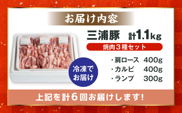 【6回定期便】 豪華 三浦豚 1.1kg 焼肉セット 肩ロース カルビ ランプ / ブランド豚 国産 ポーク 大容量 恵那市 / あづま精肉店 [AUDL019]