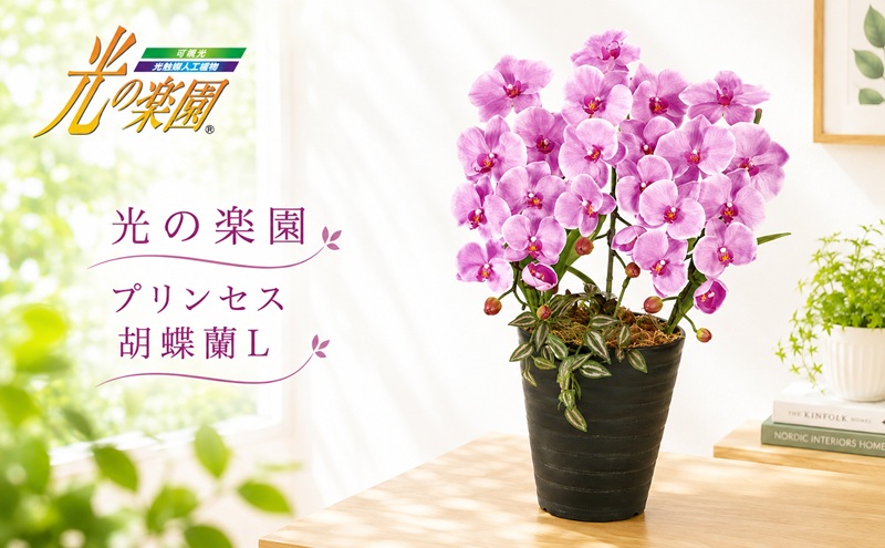 光の楽園　プリンセス胡蝶蘭L【配送不可：北海道・沖縄・離島】 インテリア 光触媒 人工植物 造花 フェイクグリーン 花 フラワー 清浄 消臭 