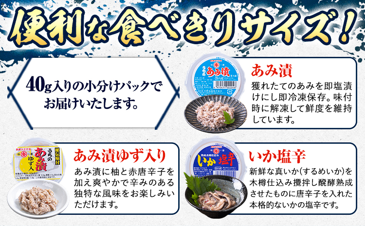 内野海産の海の幸セット 10個入り 《45日以内に出荷予定(土日祝除く)》あみ漬 いか 海苔 佃煮 塩辛 いかすみ---sn_cuchisaci10_45d_24_11000_400g---