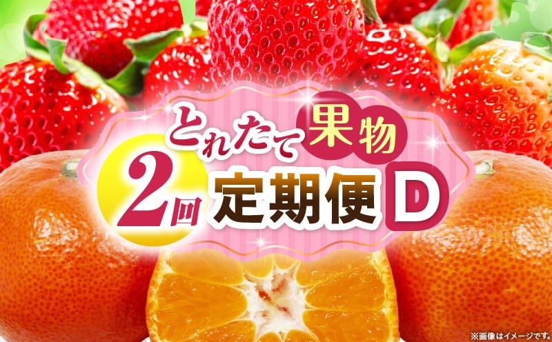 
            とれたて果物 2回定期便D 果物 フルーツ 果物定期便 フルーツ定期便 定期便 いちご みかん 濃厚 旬の果物 定期 人気 おすすめ 贈答 贈り物 青果物 糖度 香川県 _mk165-t054
          