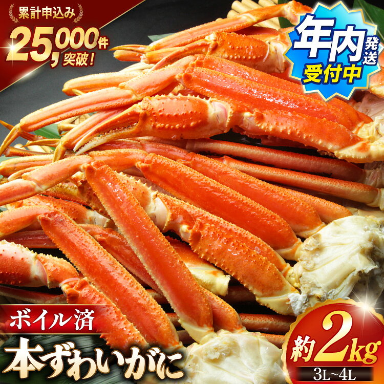 ボイル済み 本ずわいがに 脚 3L～4L 総重量2kg ( ズワイガニ ずわい蟹 ズワイ蟹 ずわい ズワイ 蟹 カニ カニ脚 蟹脚 )/ カネダイ / 宮城県 気仙沼市