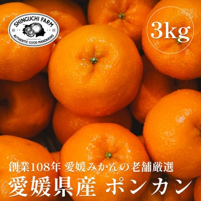 創業百八年 愛媛みかんの老舗【ポンカン 3kg】家庭用【新口農園】【C70−64】【1614988】