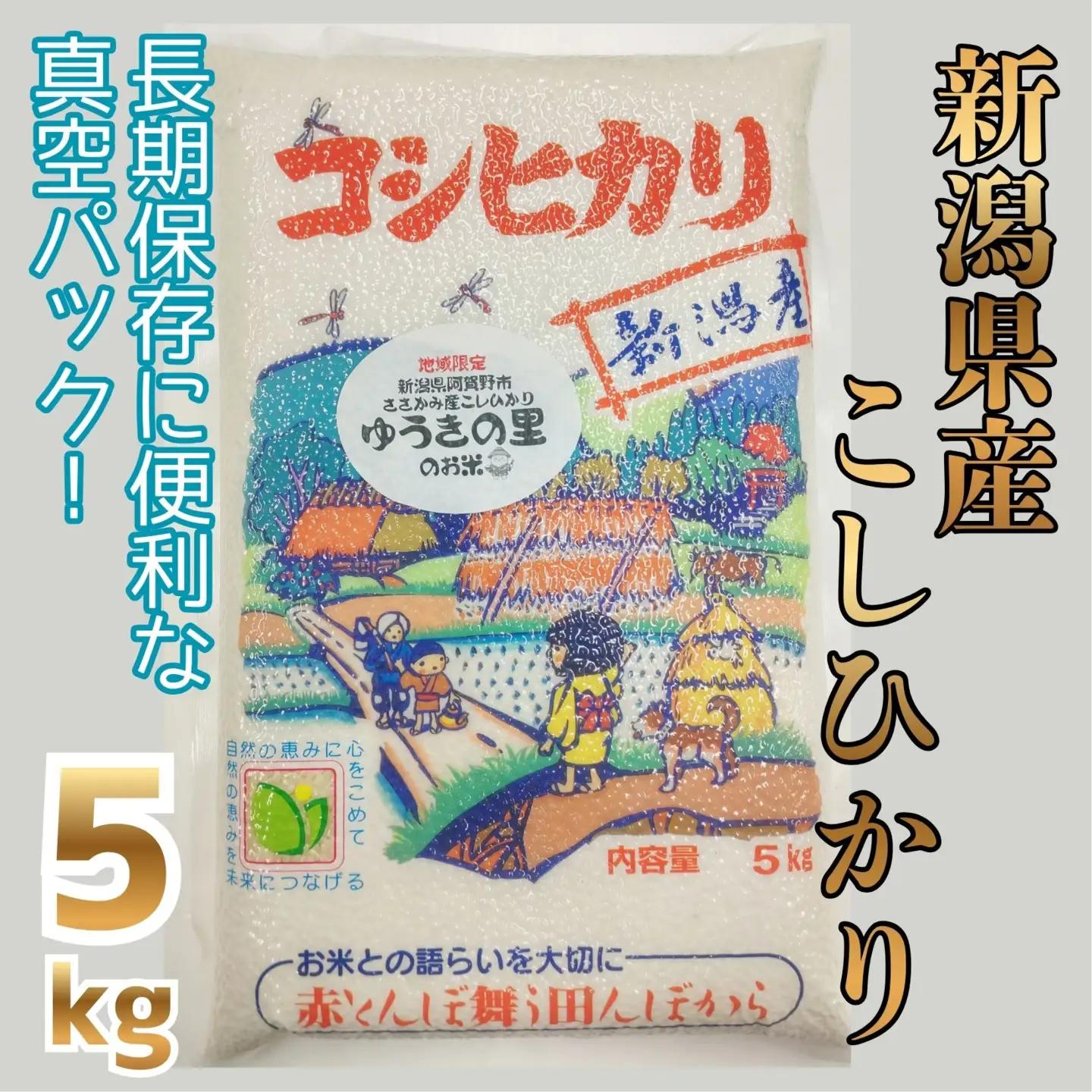 【令和7年産】阿賀野市 ささかみ産 こしひかり 「ゆうきの里のお米」真空パック 5kg 新潟コンバイン 白米 精米 新潟県 コシヒカリ コシ 米 お米 ごはん ご飯 長期保存 保存食 3P06016