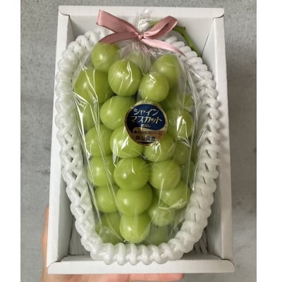 
                  岡山産　高級シャインマスカット2房1.2kg以上 糖度18度以上【1710268】
                