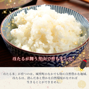 ほたる米 5kg（茨城県共通返礼品・城里町産） / 米 こめ コメ お米 おこめ ほたる米 白米 精米 ごはん ご飯 令和7年産 5kg 茨城県 城里町 利根町