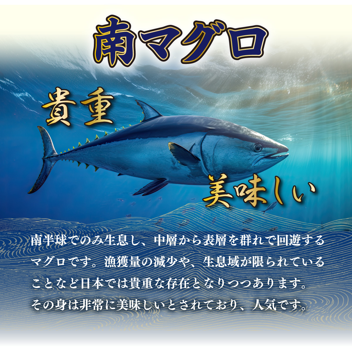 厳選 天然 南マグロ セット ６５０ｇ 以上 ミナミマグロ 冷凍 鮪 海鮮 丼