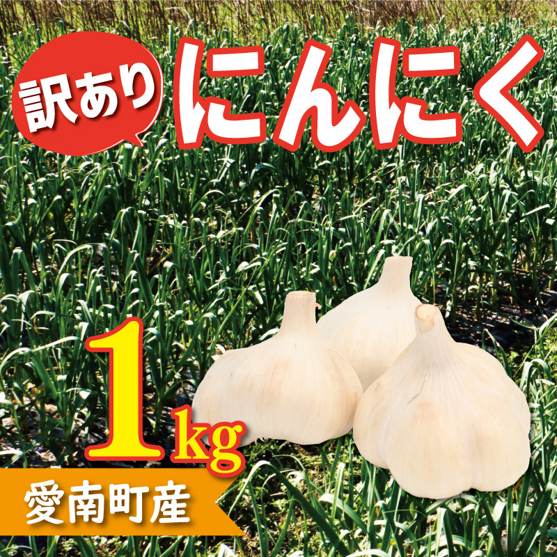 
訳あり 自然 乾燥 にんにく 1kg 7000円 （発送期間：5月中旬～無くなり次第終了） ガーリック 産地直送 国産 農家直送 期間限定 数量限定 人気 限定 先行 予約 受付 野菜 不揃い 規格外 愛媛県 愛南町 ヤマカ園
