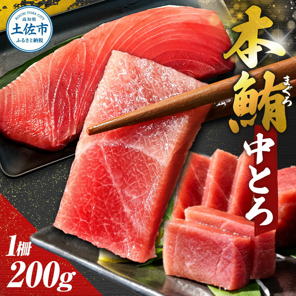 【ふるさと納税】マグロ 中トロ 200g まぐろ 刺身 本鮪 本まぐろ トロ とろ 中とろ 柵 ブロック 刺し身 魚 海鮮 海鮮丼 海産物 海の幸 寿司 贅沢 人気 冷凍 配送 美味しい おいしい お祝い 記念日 贈答 高知県 高知 土佐市 故郷納税 ふるさとのうぜい 返礼品 13000円