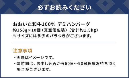 おおいた 和牛 100% デミ ハンバーグ 約150g×10個 合計約1.5kg | ハンバーグ 津久見市