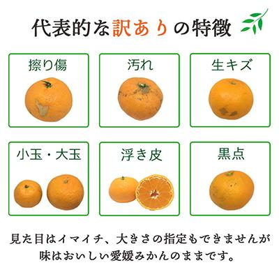 ふるさと納税 八幡浜市 【発送月固定定期便】愛媛の人気品種!かんきつ定期便 11月〜2月(訳あり)全4回【H25-155】 |  | 02
