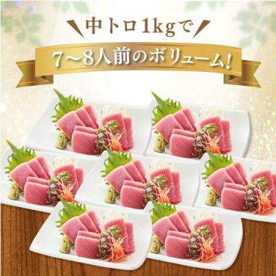 ふるさと納税 焼津市 マグロ中トロ訳あり刺身冷凍炙り寿司丼ぶつ切りまぐろ専門店天然本まぐろ中トロ 1kg(a27-013) |  | 02
