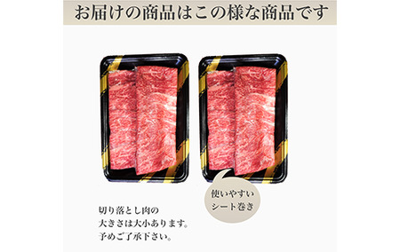 鹿児島県産黒毛和牛5等級切落し600g(水迫畜産/013-1291)牛肉 牛 国産